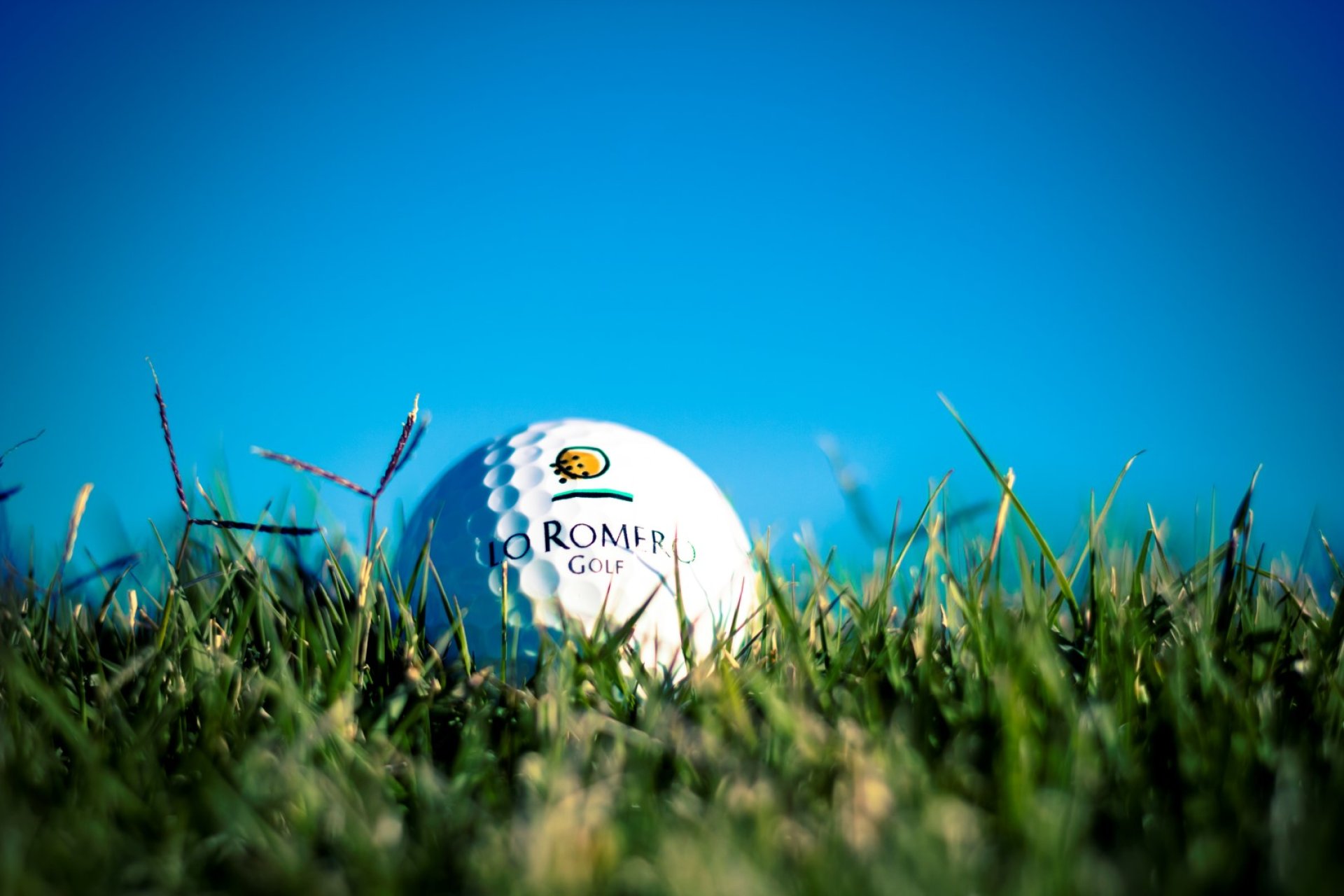 Neubau - Bungalow - Pilar de la Horadada - Lo Romero Golf