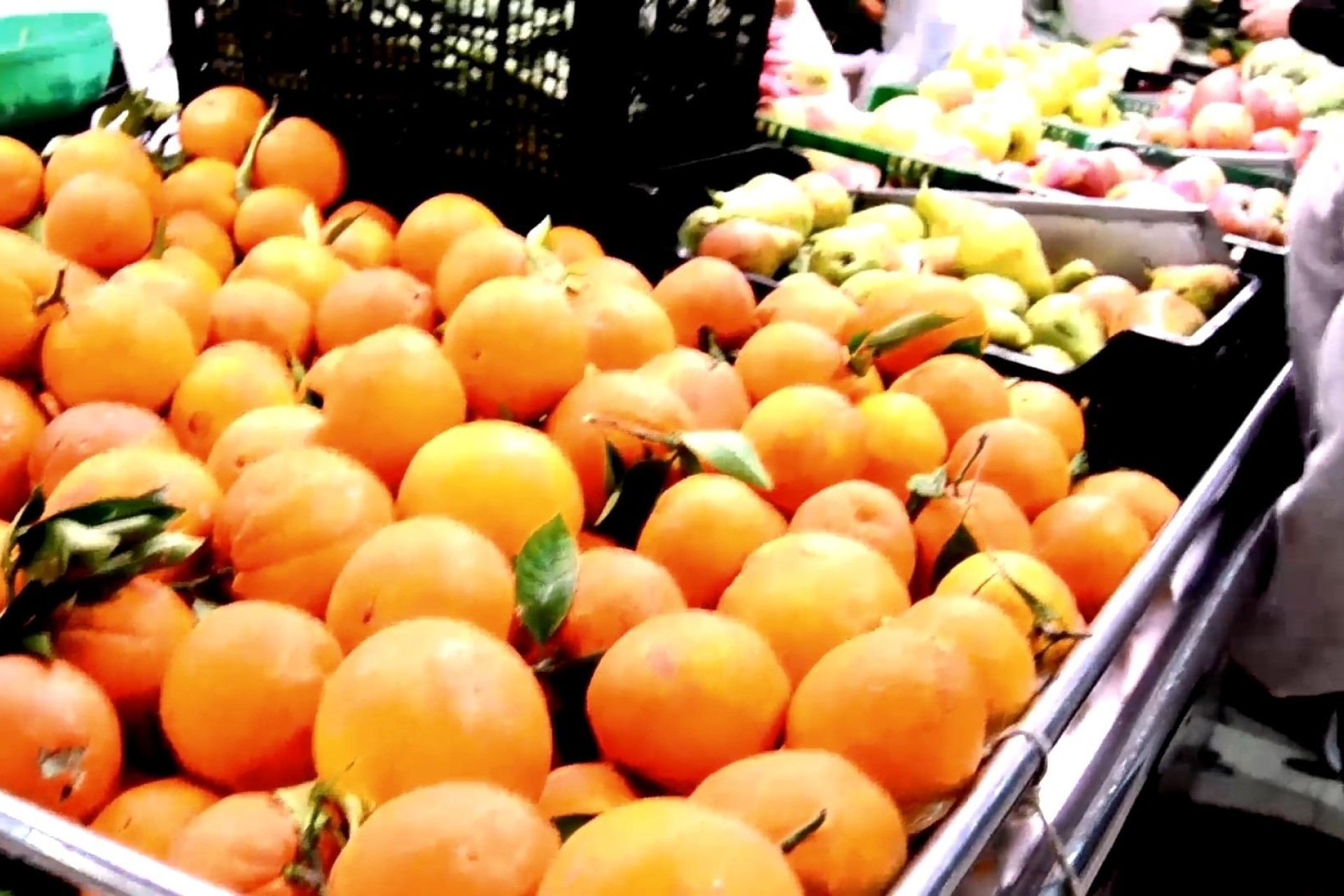 Neubau - Ground Floor - Torrevieia - Center