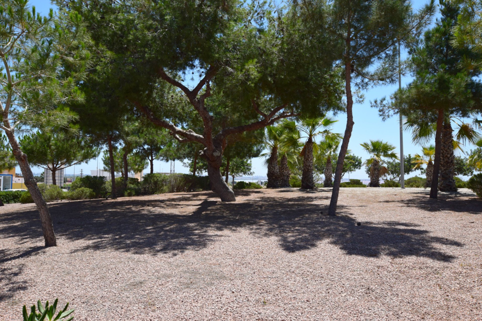 Neubau - Haus - Los Montesinos