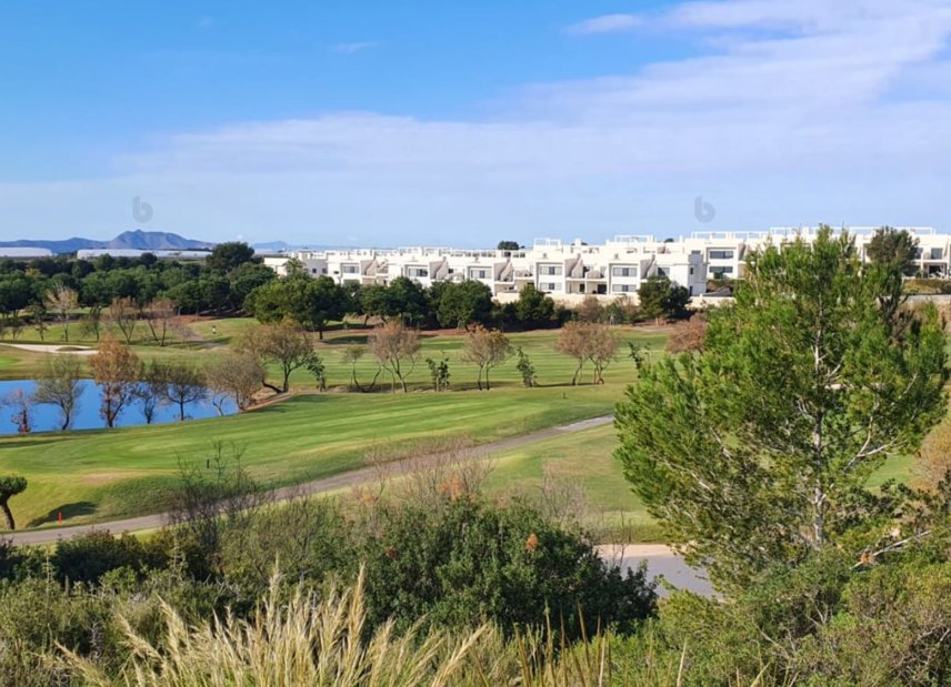 Neubau - Haus - Pilar de la Horadada - Lo Romero Golf