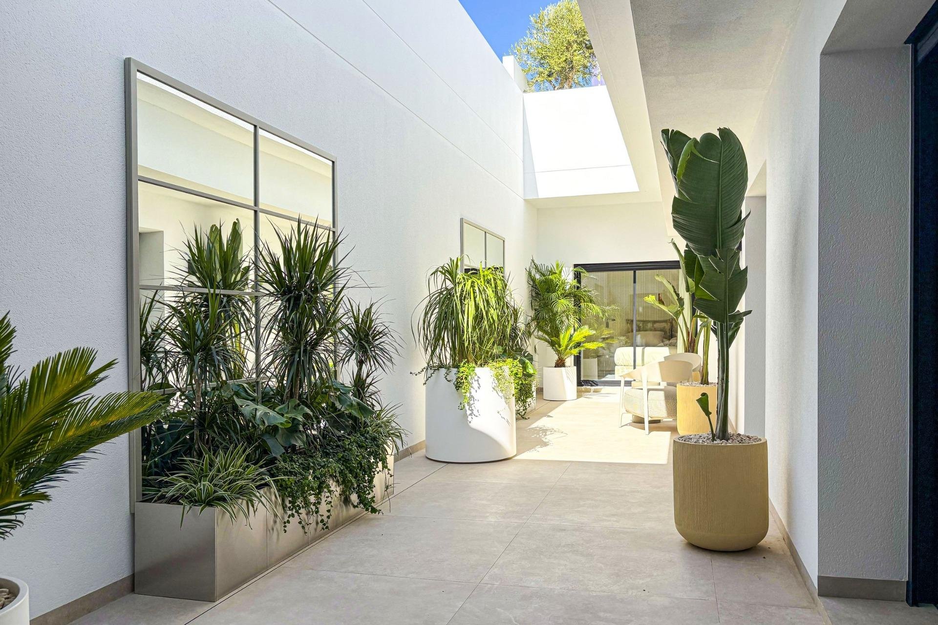 Neubau - Haus - Rojales - 