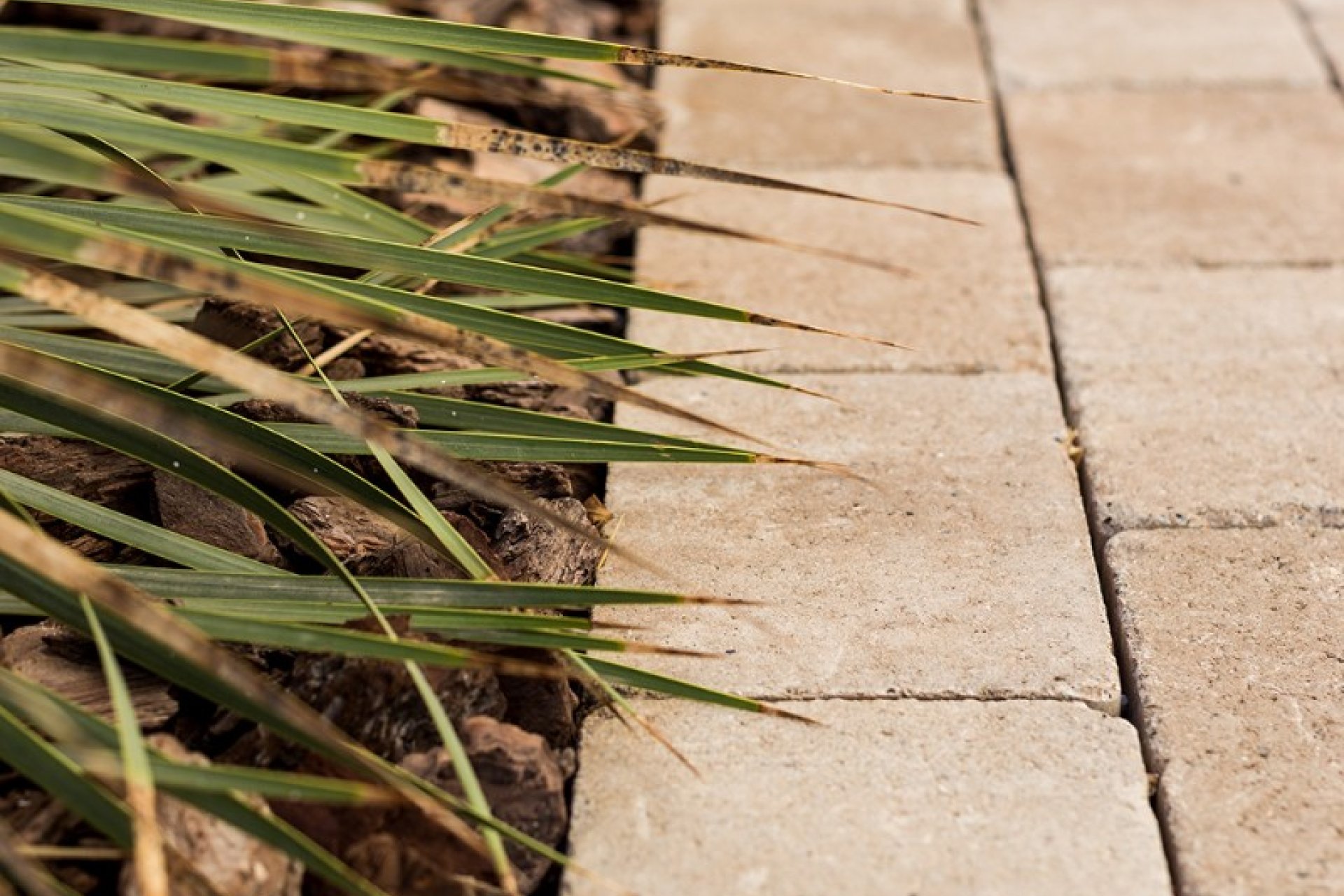 Neubau - Haus - Torre De La Horadada - Torre de la Horadada