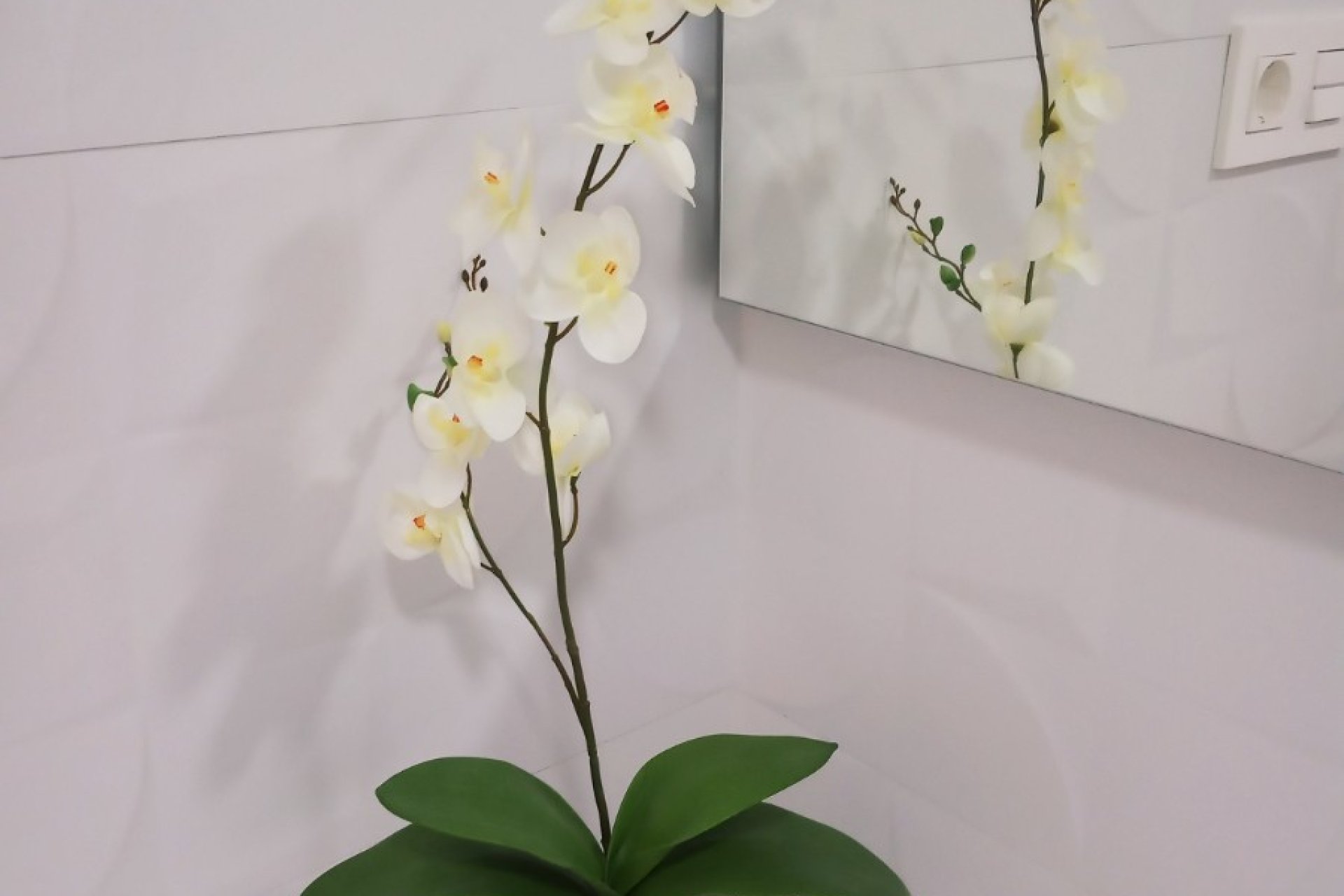 New Build - Apartment - Flat - Benijofar