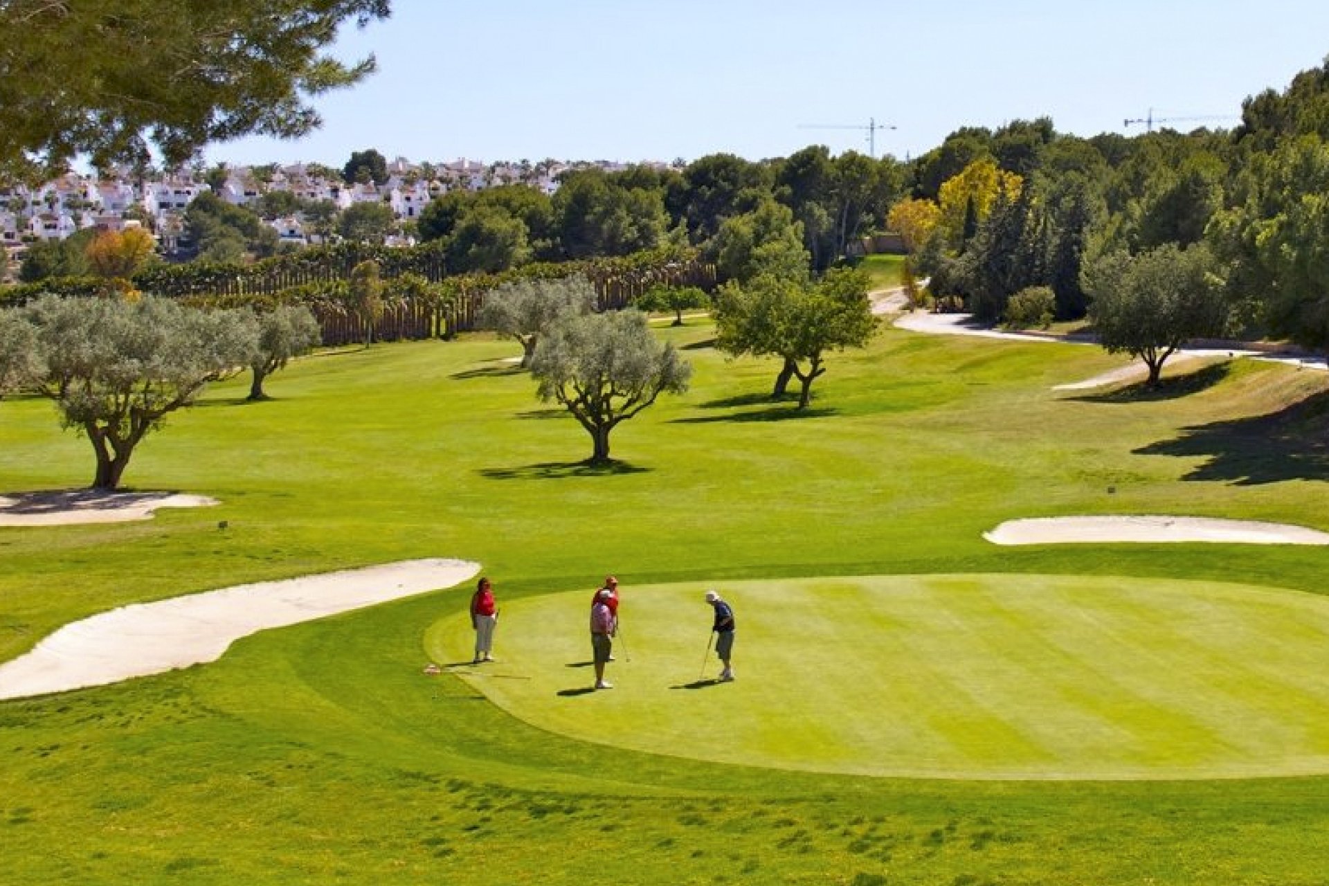 New Build - Apartment - Flat - Torrevieia - La Siesta