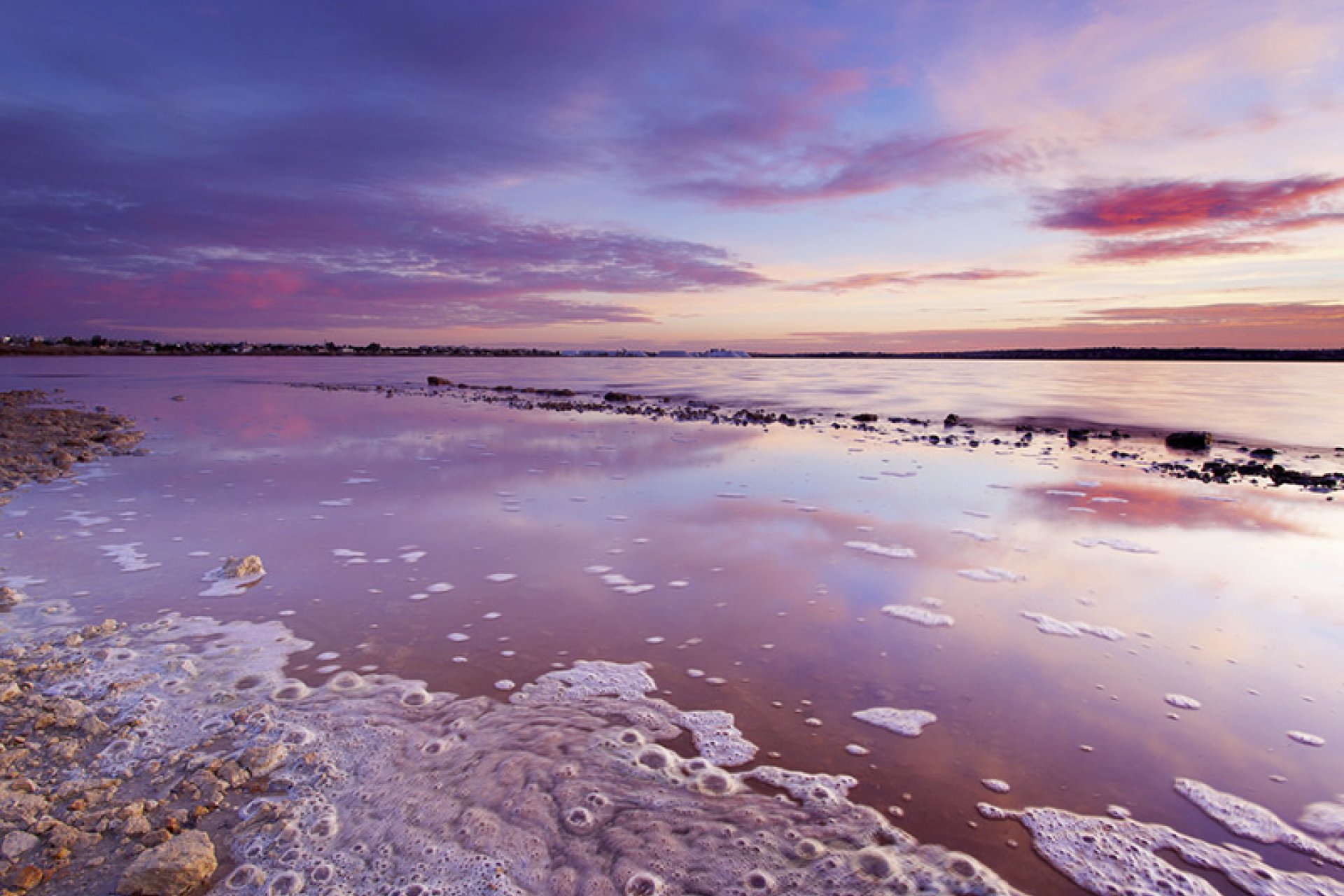 New Build - Apartment - Flat - Torrevieia - La Siesta