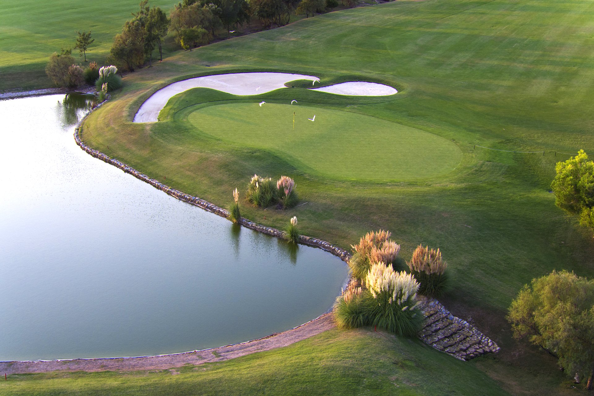 New Build - Bungalow - Pilar de la Horadada - Lo Romero Golf