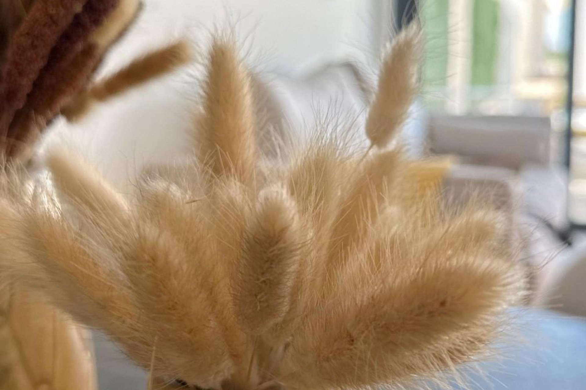 New Build - Ground Floor - San Fulgencio - pueblo