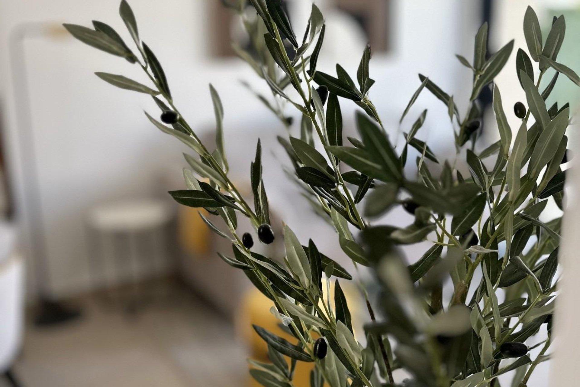 New Build - Ground Floor - San Fulgencio - pueblo