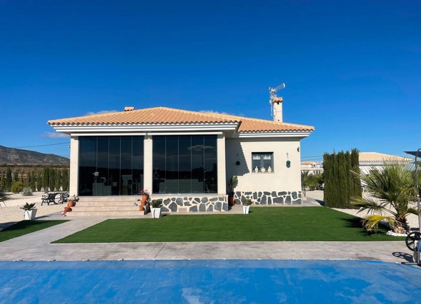 New Build - Villa - Pinoso - Camino Del Prado