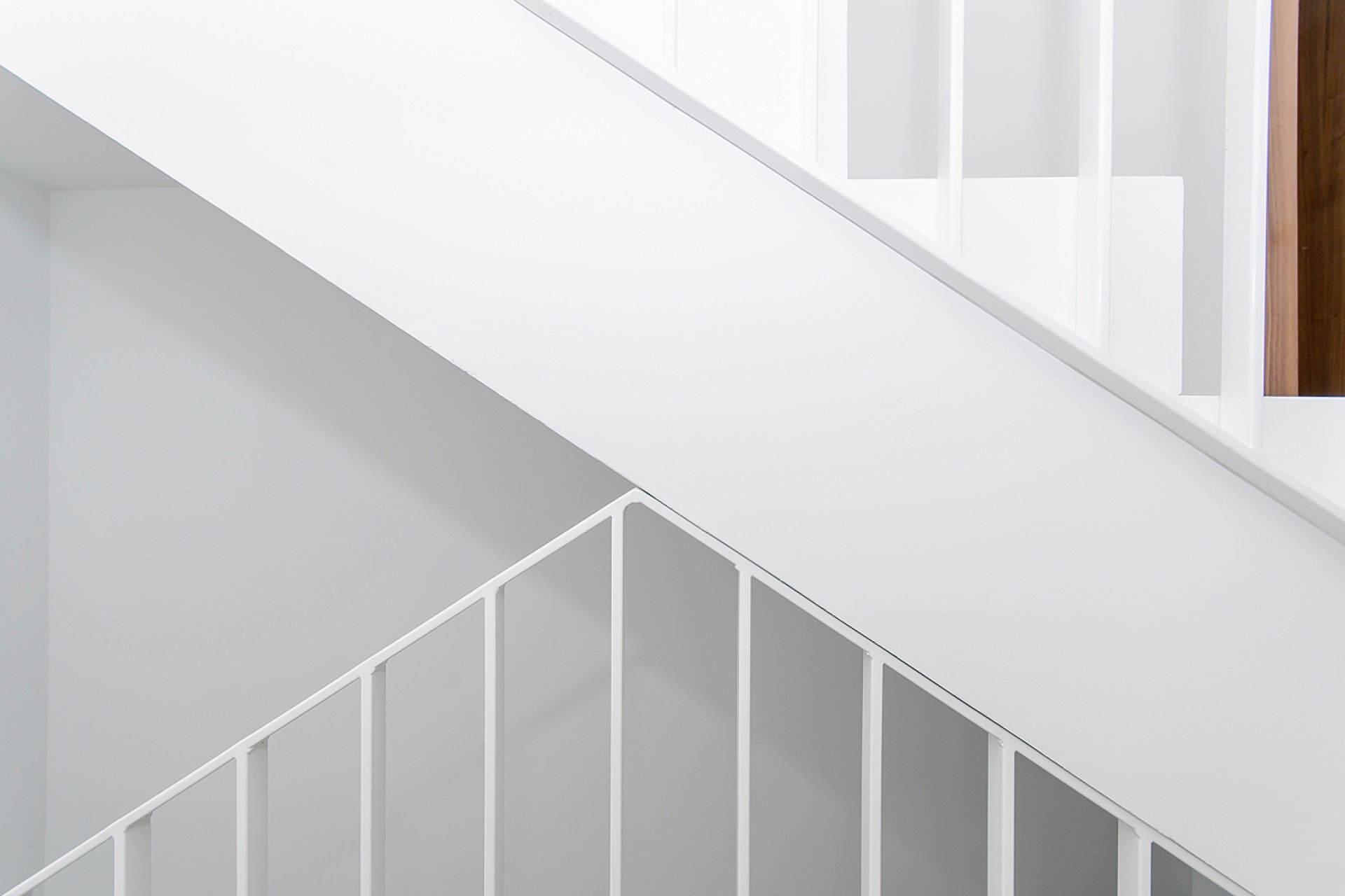 New Build - Villa - Rojales - Ciudad Quesada