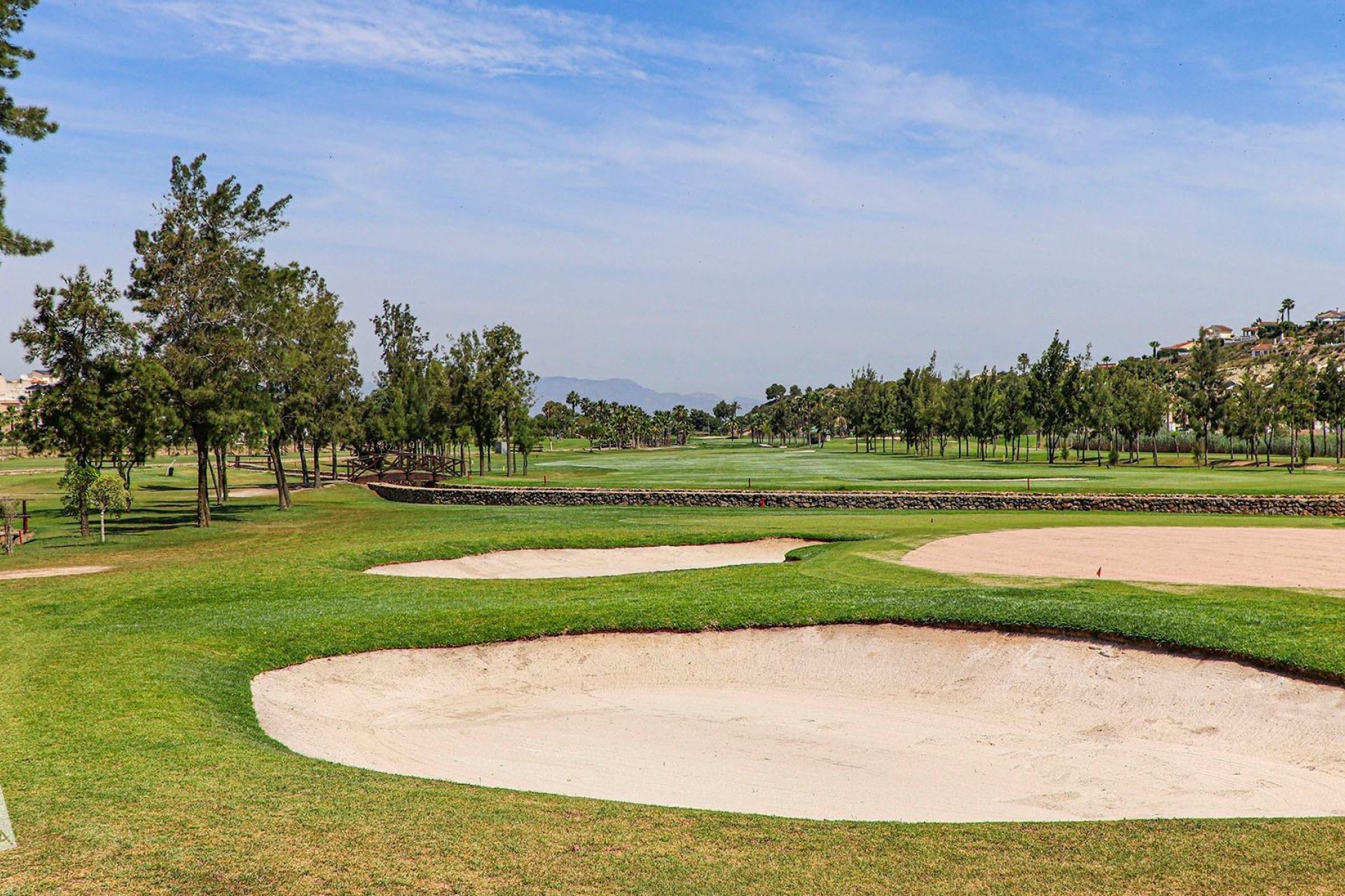 New Build - Villa - Rojales - Ciudad Quesada