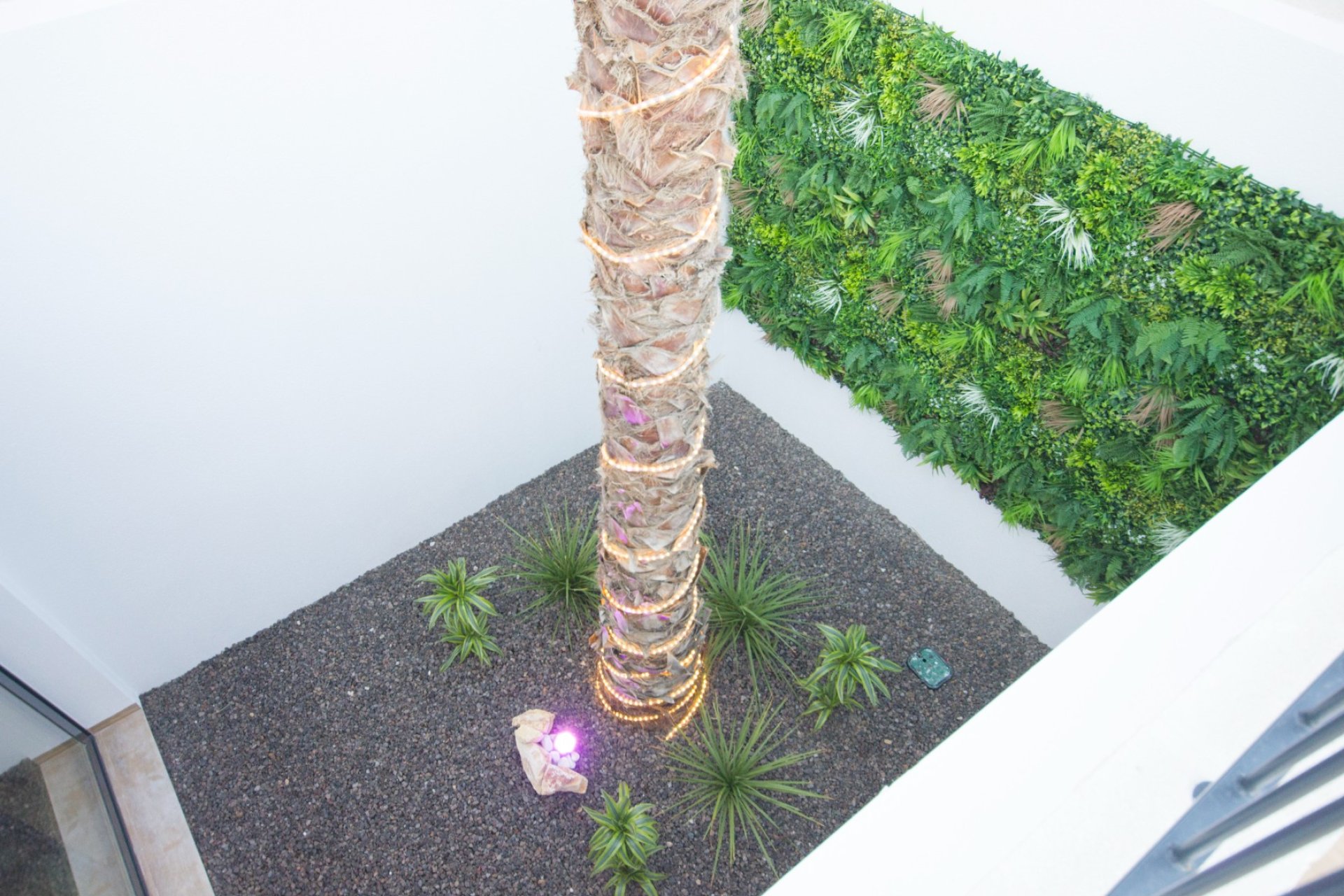 New Build - Villa - Rojales - 