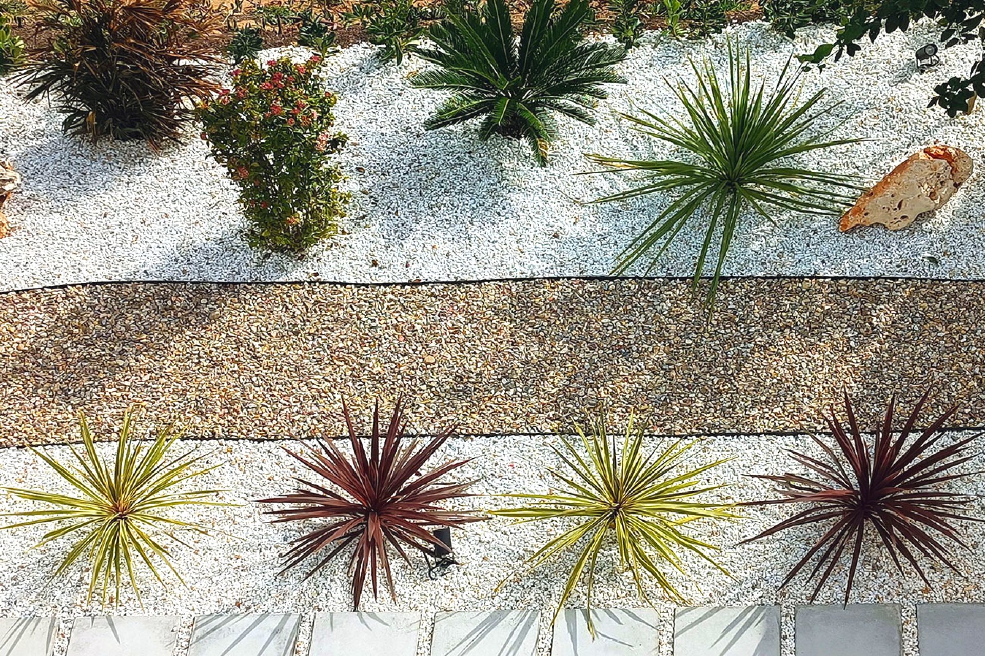 New Build - Villa - Rojales - 