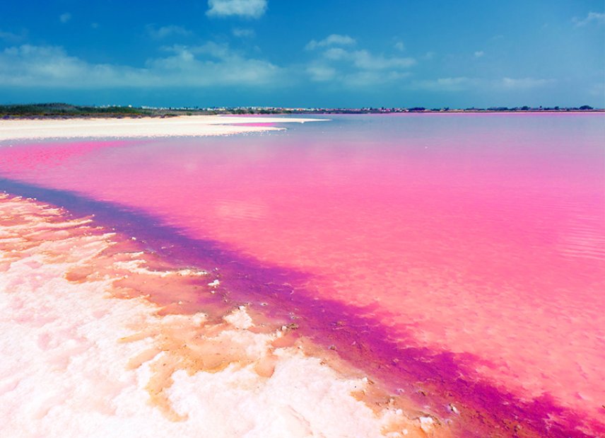 Новостройка - Apartment - Flat - Torrevieia - La Siesta