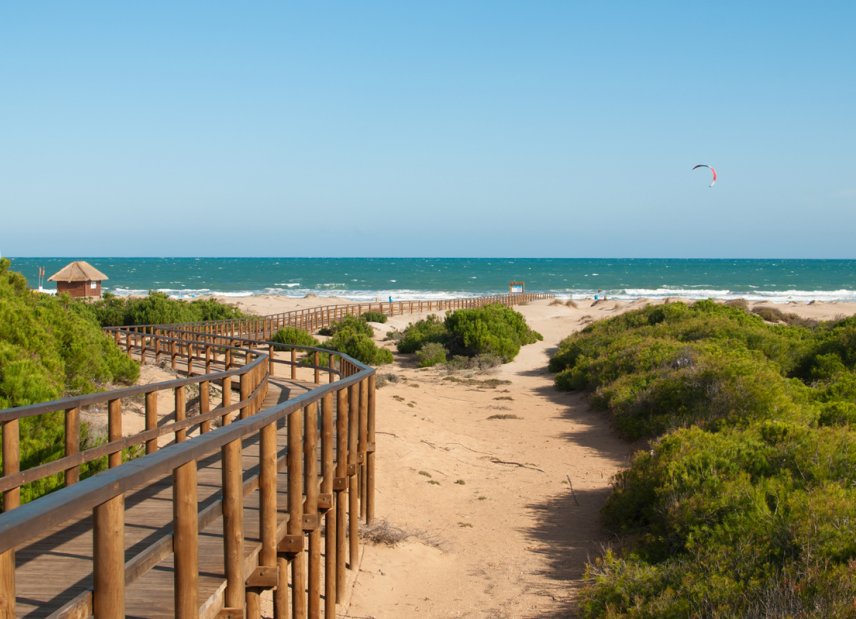 Nueva construcción  - Adosado - Gran Alacant - Arenales del Sol