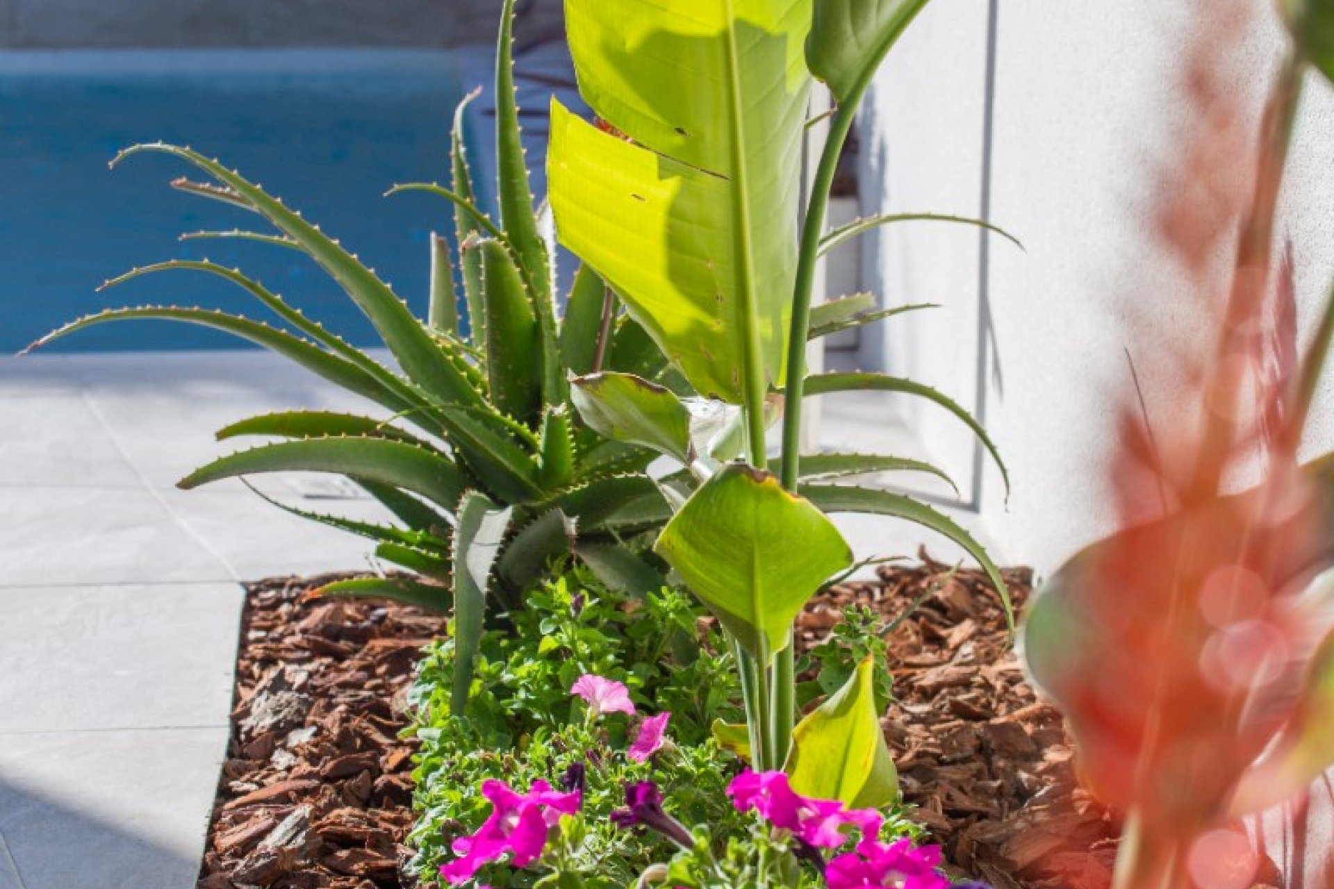 Nueva construcción  - Chalet - Los Montesinos - La Herrada