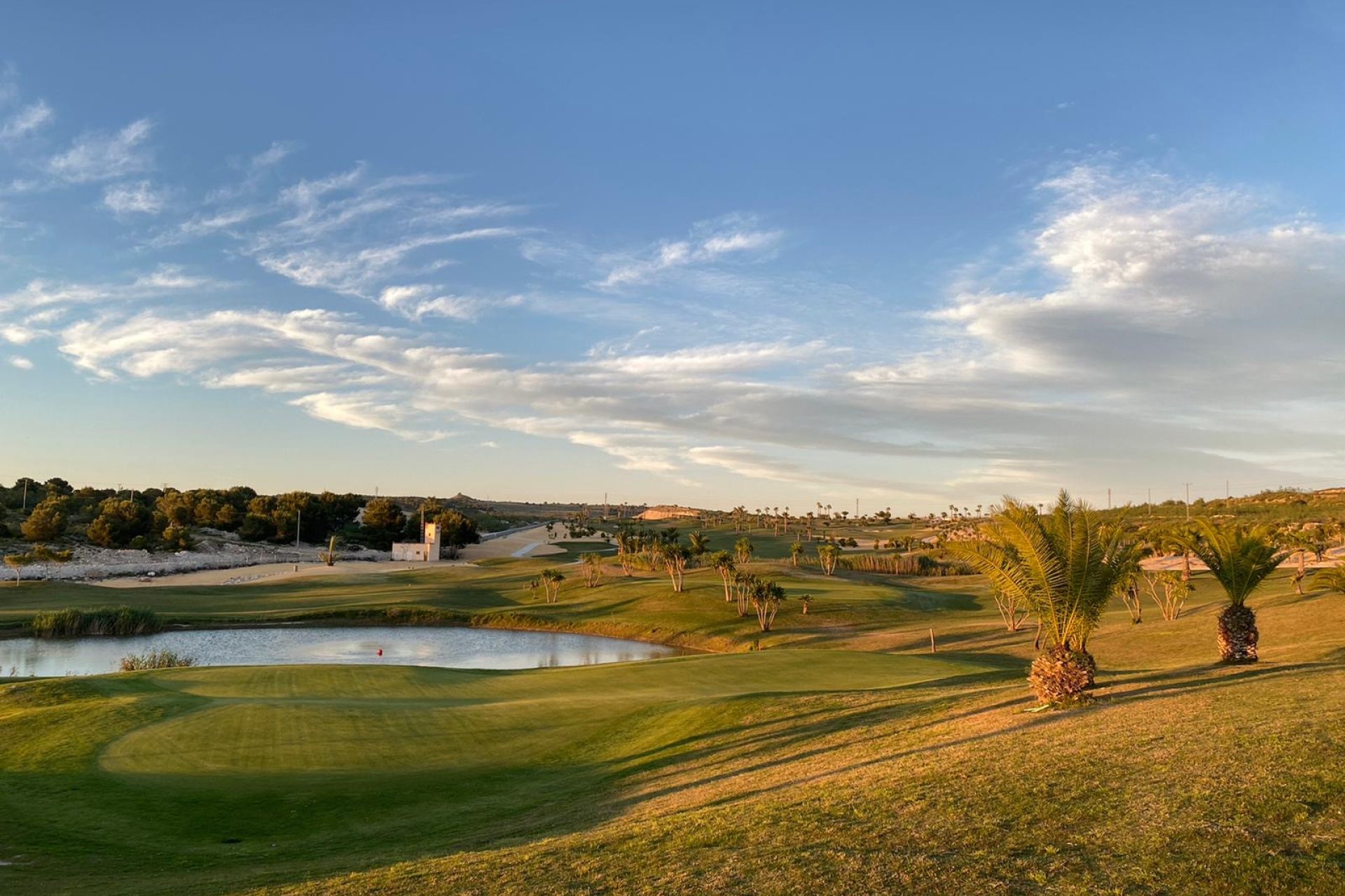 Nueva construcción  - Chalet - Orihuela - Entre Naranjos