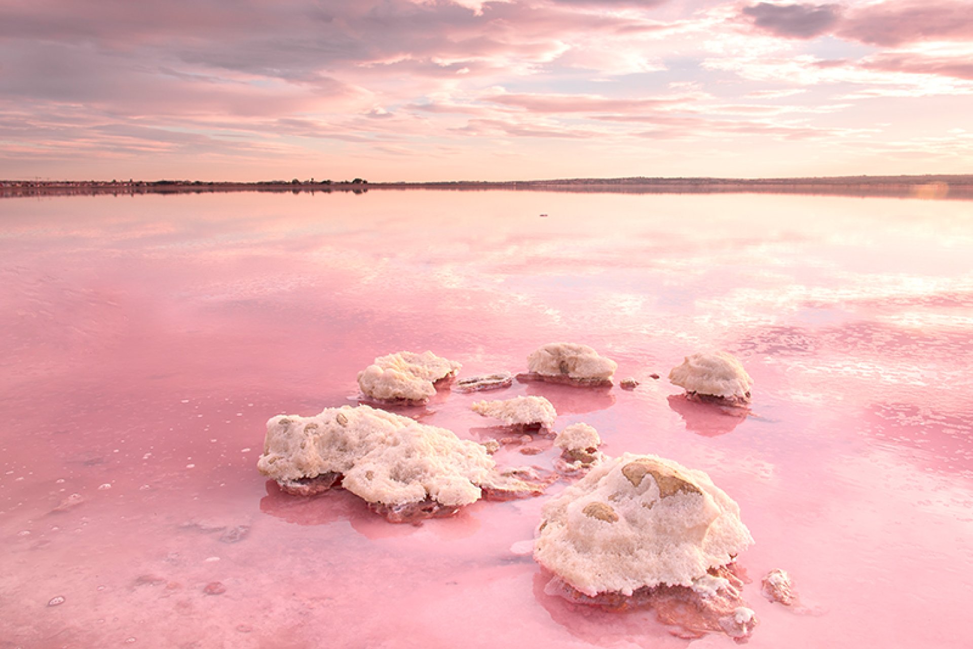 Ny bygg - Apartment - Flat - Torrevieia - La Siesta