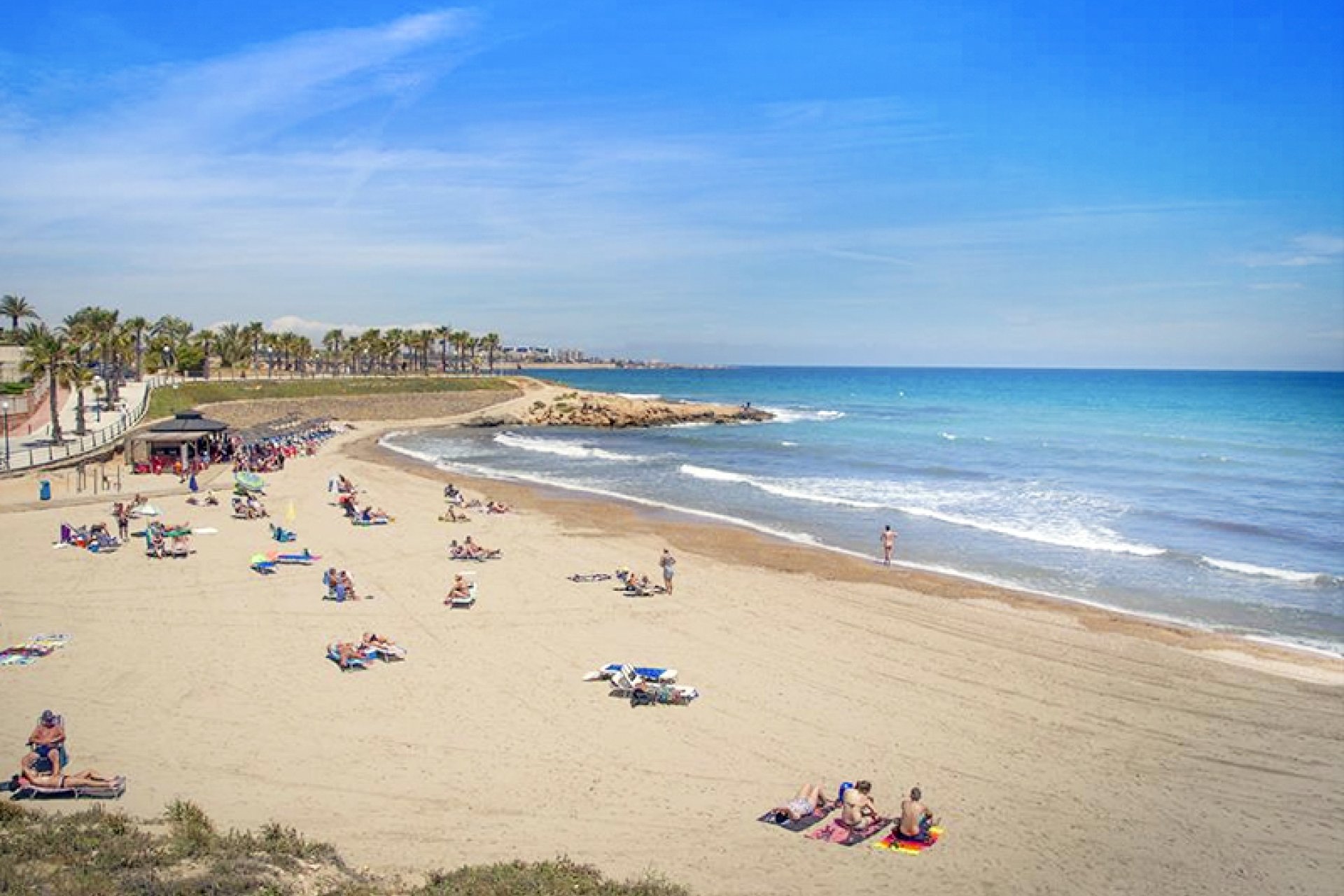 Ny bygg - Apartment - Flat - Torrevieia - La Siesta