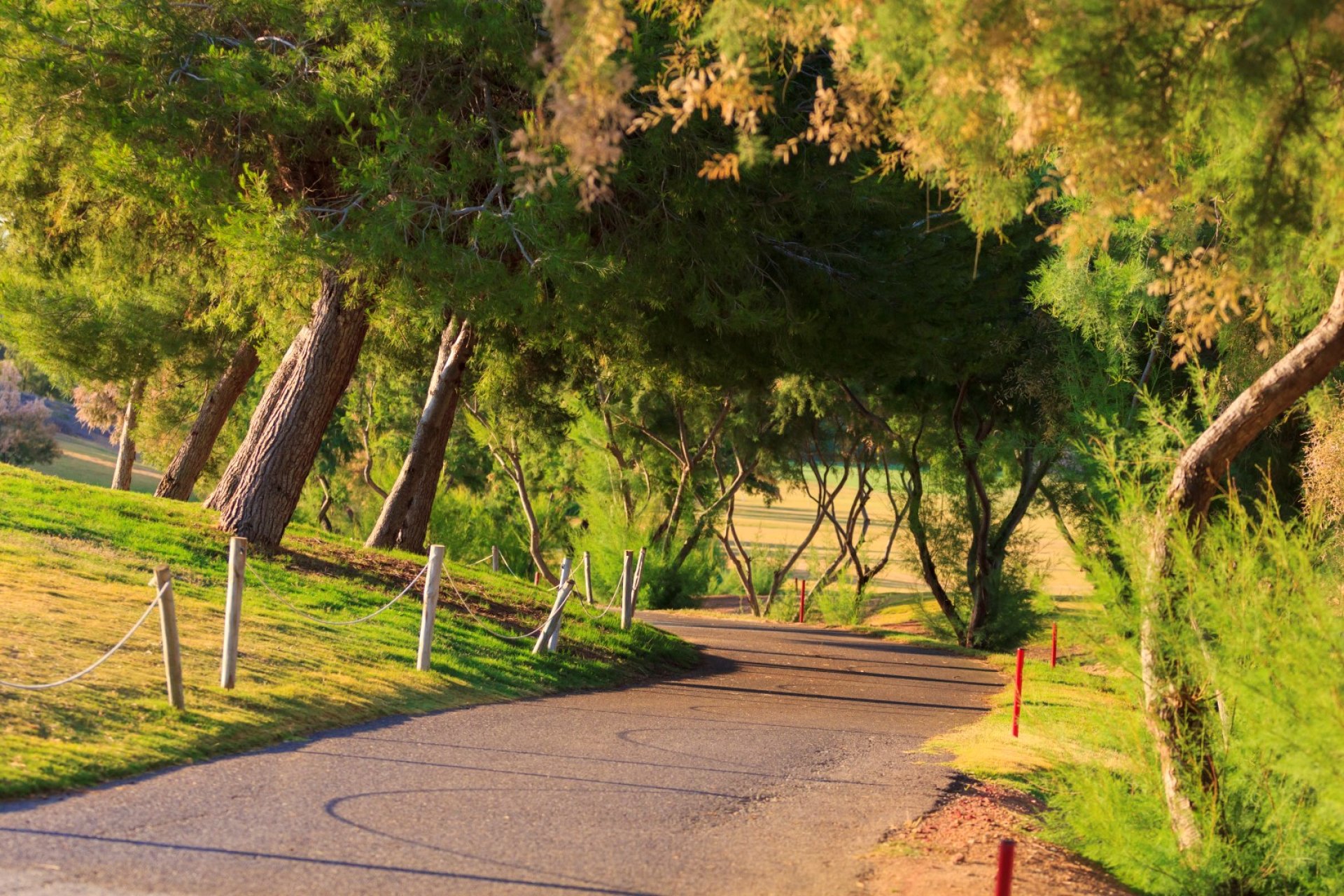 Ny bygg - Bungalow - Pilar de la Horadada - Lo Romero Golf