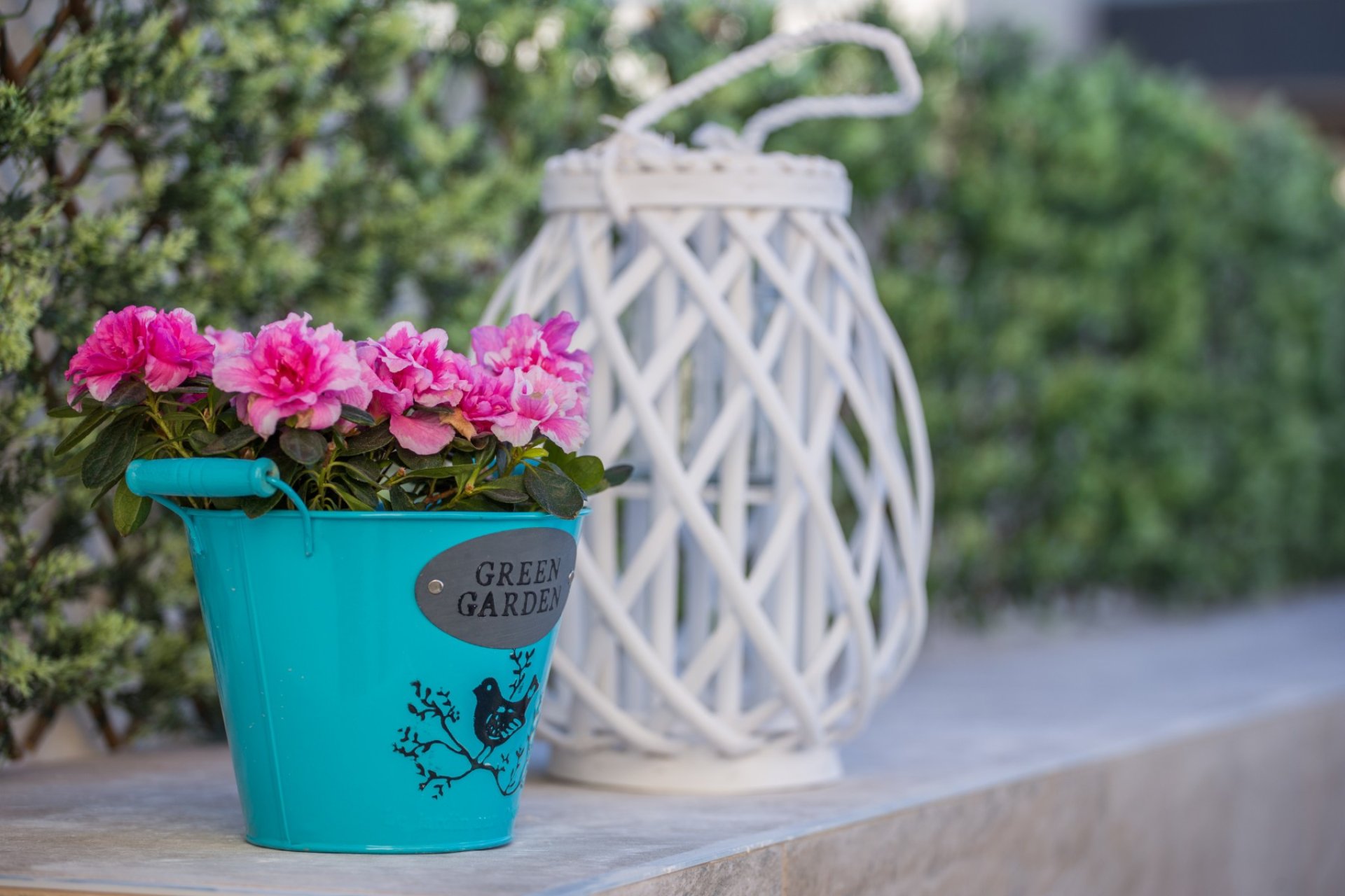 Ny bygg - Villa - Los Montesinos - La Herrada