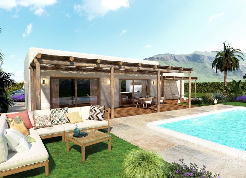 Ny bygg - Villa - Pinoso - Rodriguillo