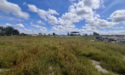 Plot - Resale - Catral - Catral