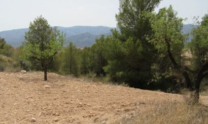 Plot - Resale - Murcia - Murcia