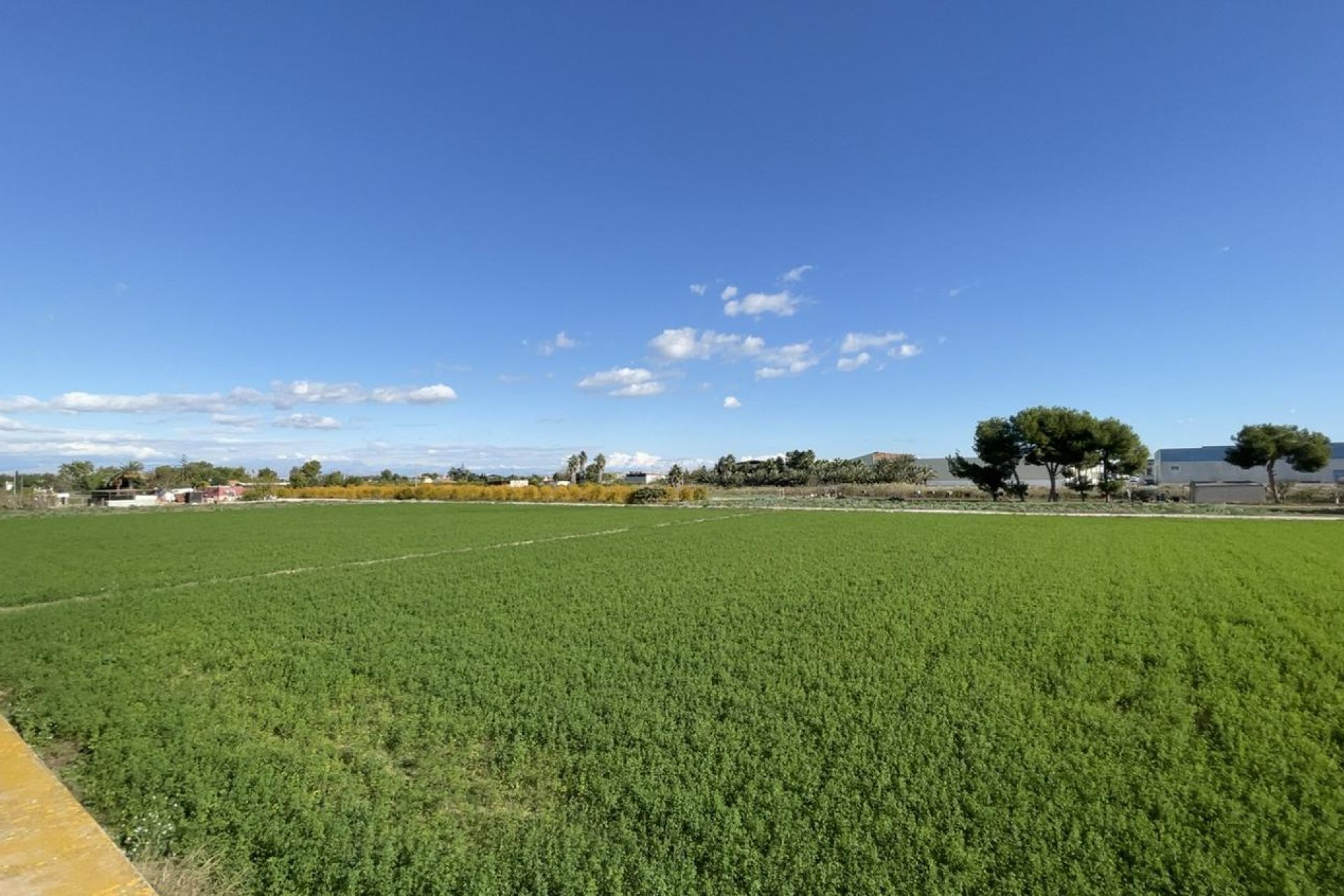 Resale - Apartment - Flat - Formentera del Segura - Formentera de Segura