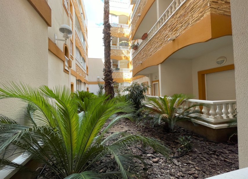 Resale - Apartment - Flat - Formentera del Segura - pueblo