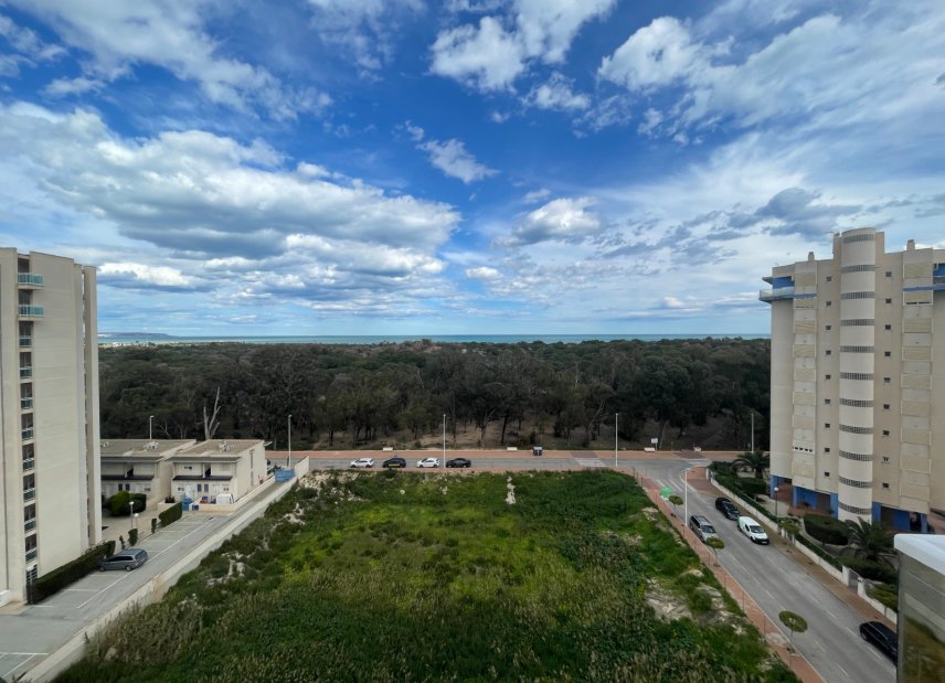 Resale - Apartment - Flat - Guardamar del Segura - Puerto Deportivo