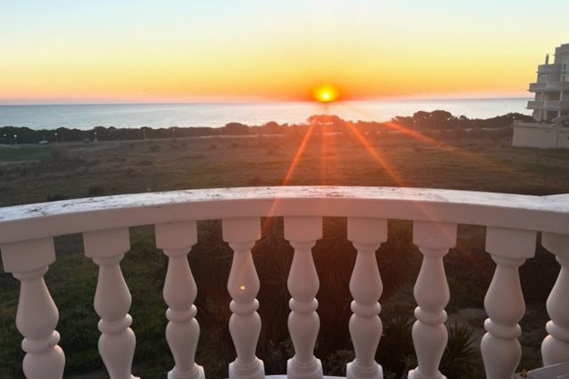 Resale - Apartment - Flat - Guardamar del Segura - Valencian Community