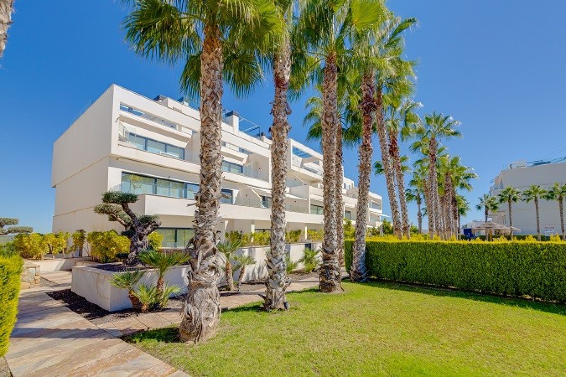 Resale - Apartment - Flat - Orihuela - Las Colinas Golf