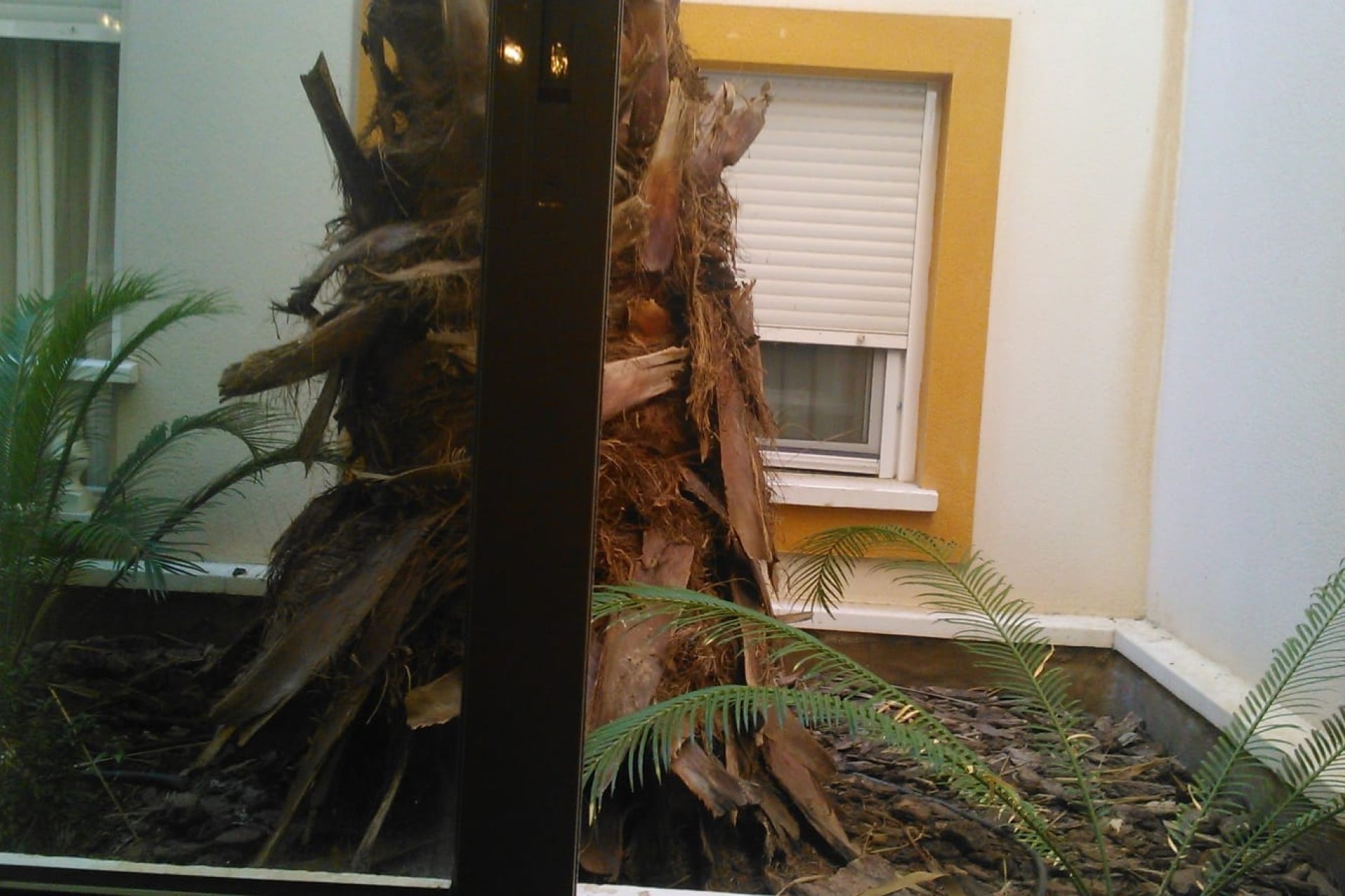 Resale - Apartment - Flat - Rojales - Formentera de Segura