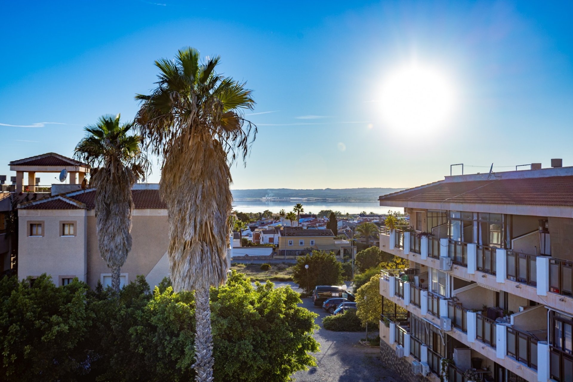Resale - Apartment - Flat - Torrevieia - La Siesta