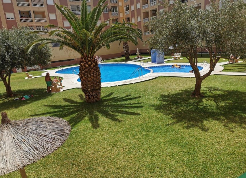 Resale - Apartment - Flat - Torrevieia - Parque las naciones
