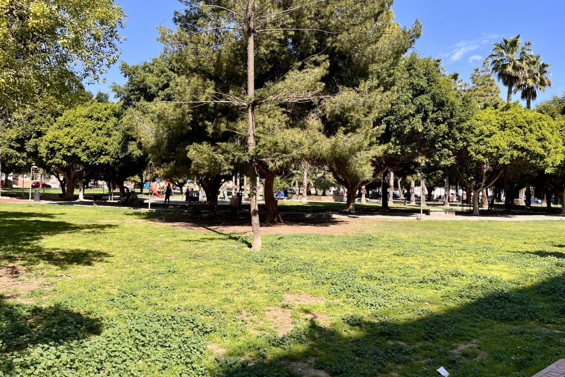 Resale - Apartment - Flat - Torrevieia - Torrevieja