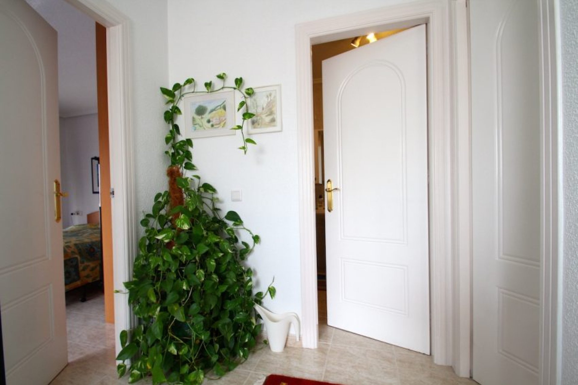 Resale -  - Ciudad Quesada - Doña pepa