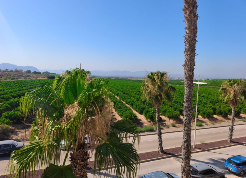Resale - Duplex - Algorfa