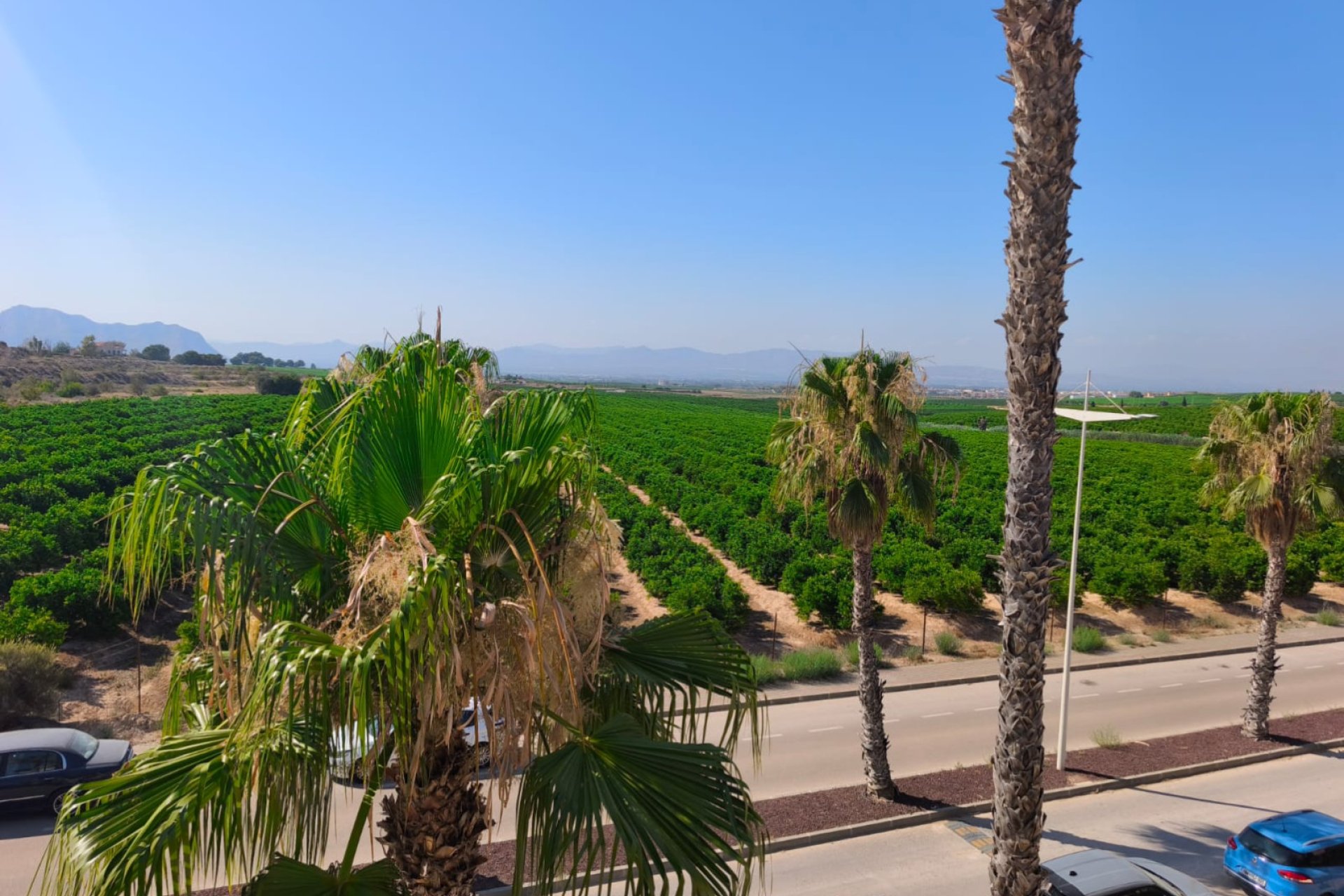 Resale - Duplex - Algorfa