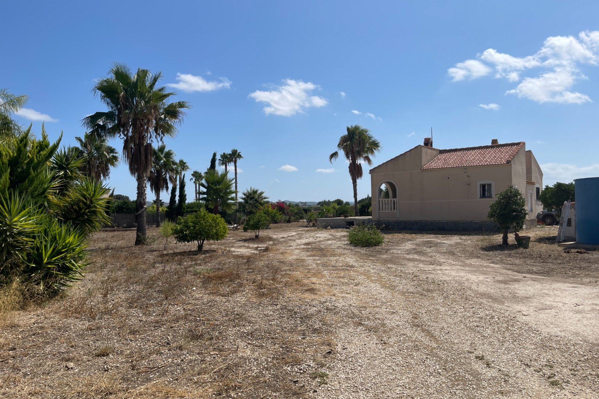 Resale - Finca / Country Property - Benejuzar - Comunidad Valenciana