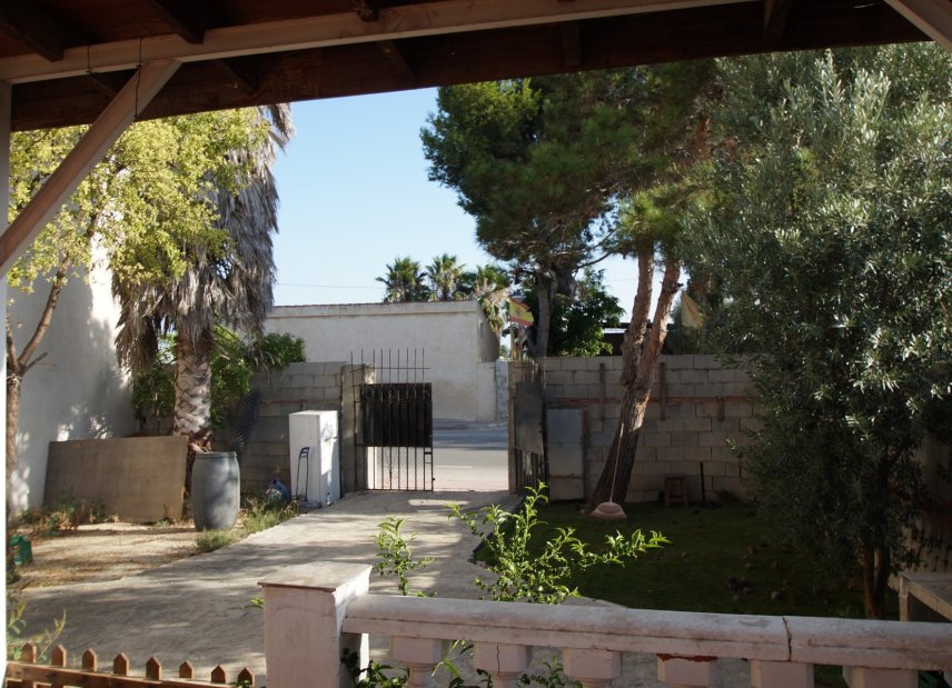 Resale - Finca / Country Property - Daya Nueva - pueblo