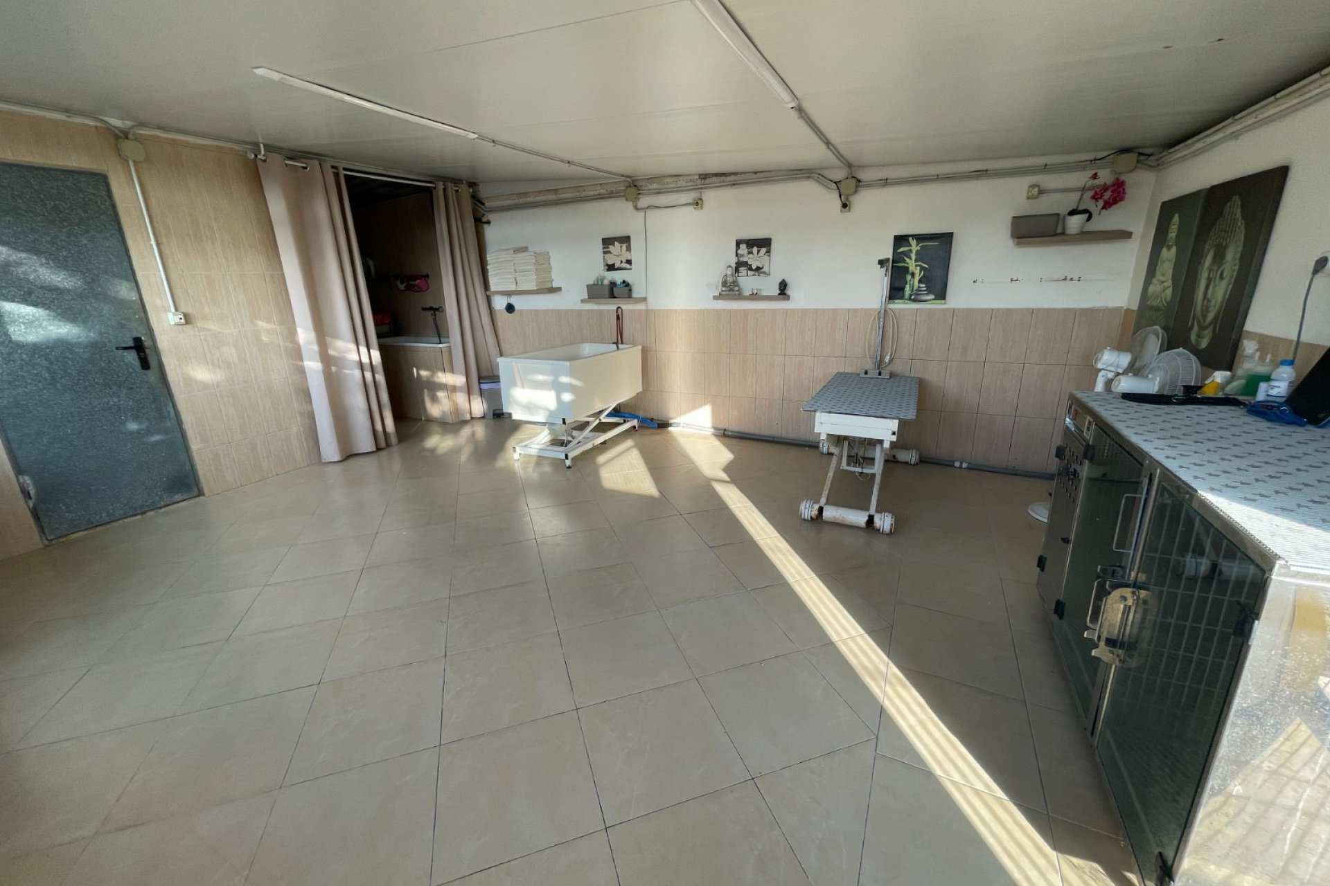 Resale - Finca / Country Property - Elche - Las Bayas