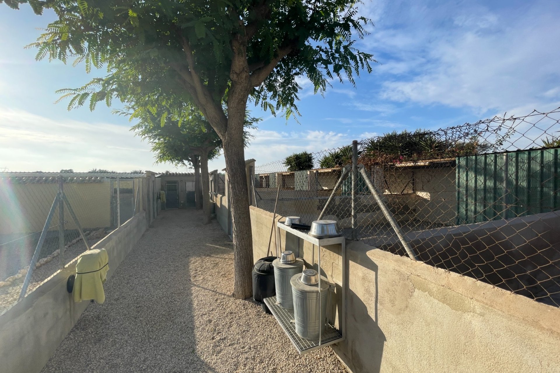 Resale - Finca / Country Property - Elche - Las Bayas