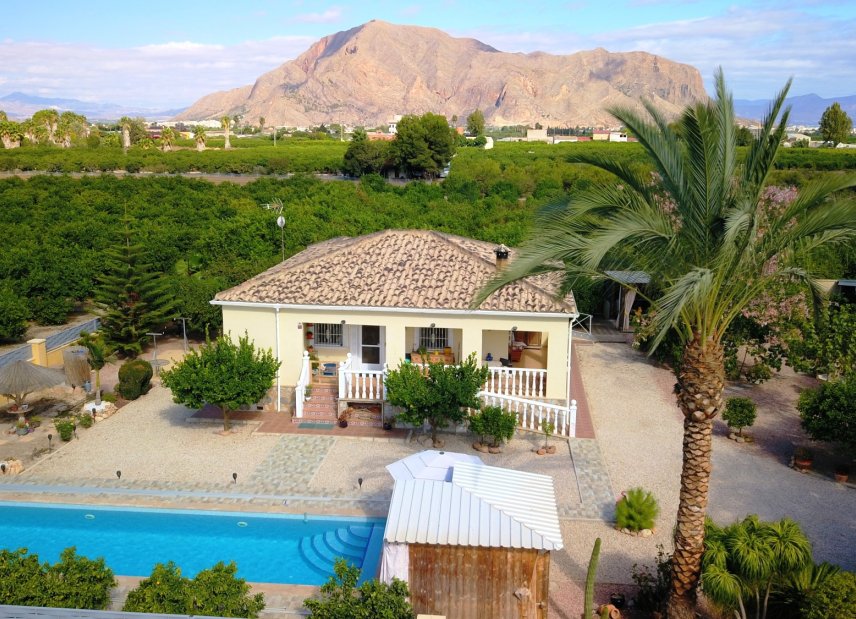 Resale - Finca / Country Property - Orihuela - La Campaneta