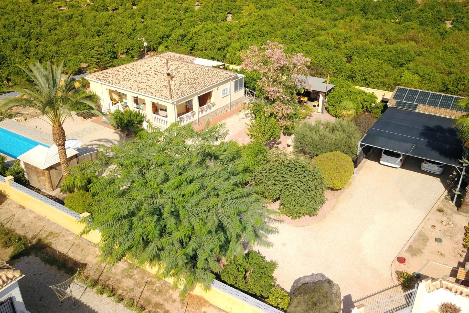 Resale - Finca / Country Property - Orihuela - La Campaneta