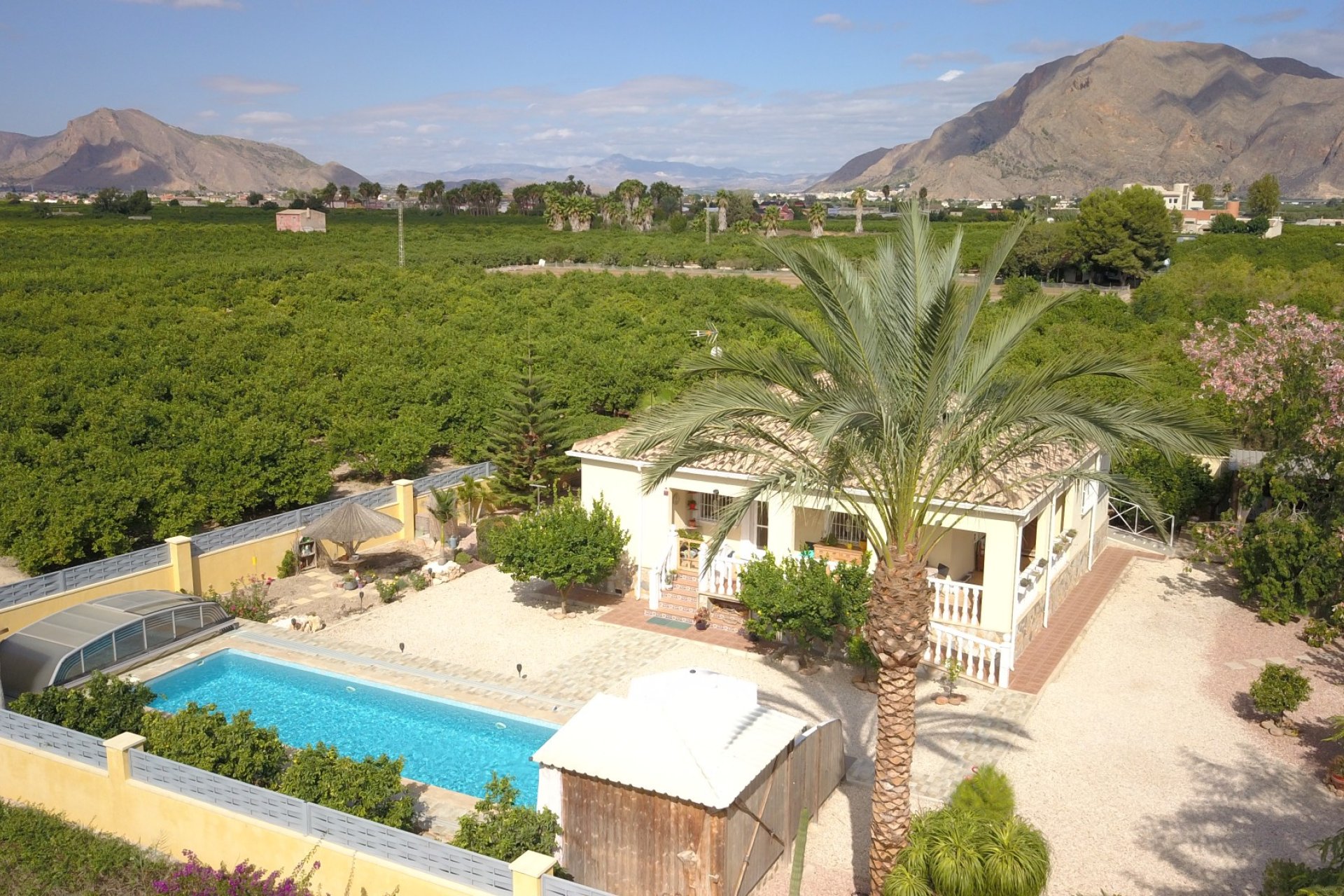 Resale - Finca / Country Property - Orihuela - La Campaneta