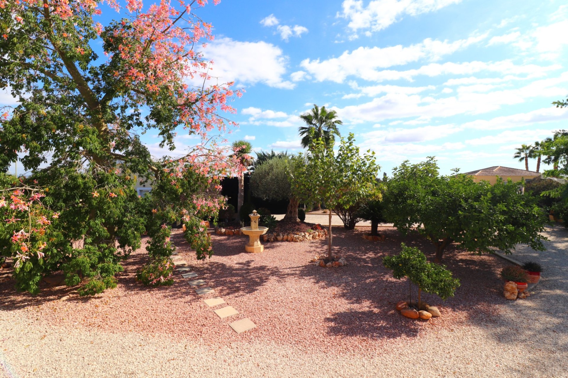 Resale - Finca / Country Property - Orihuela - La Campaneta