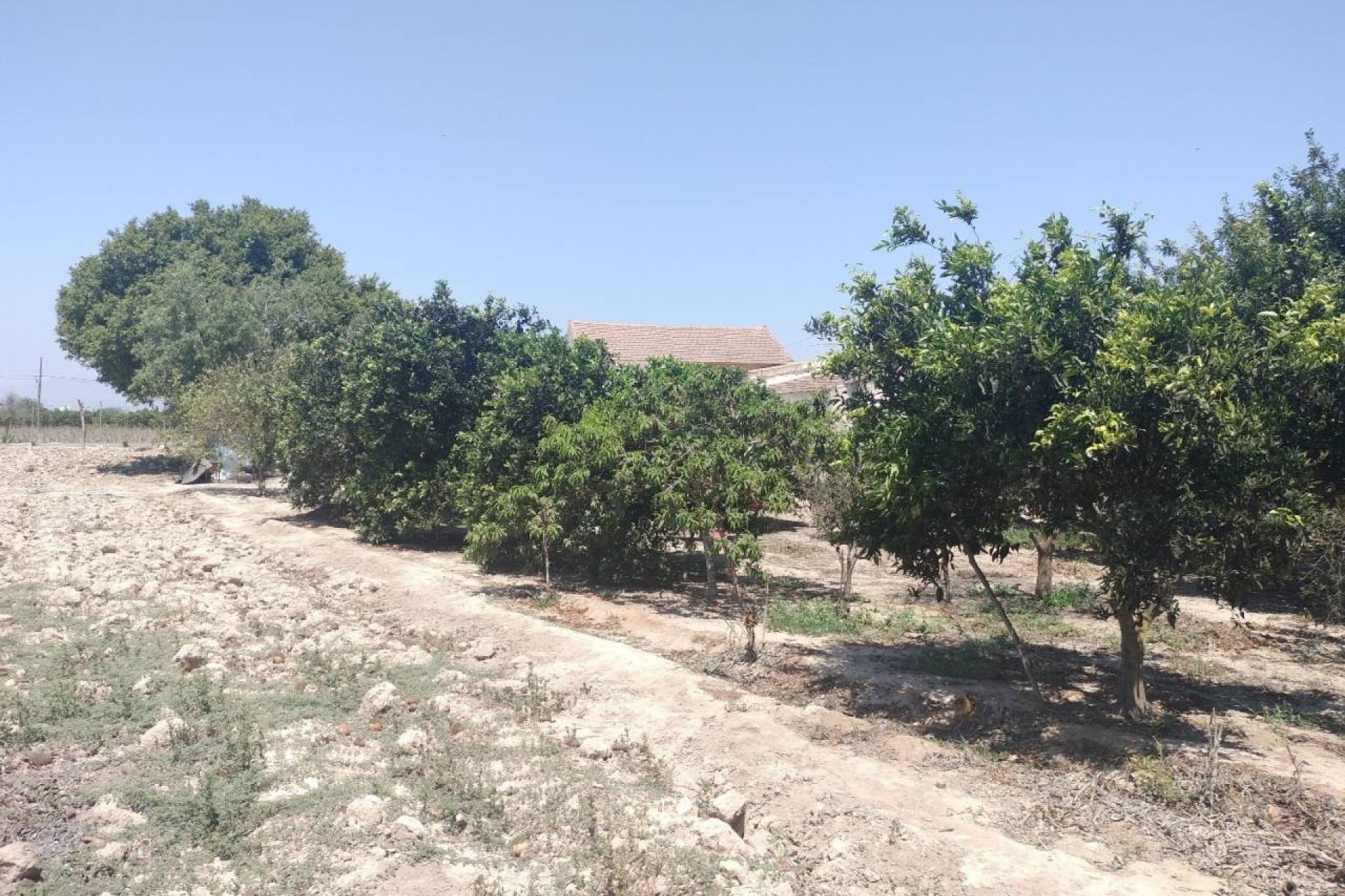 Resale - Finca / Country Property - Rojales - 
