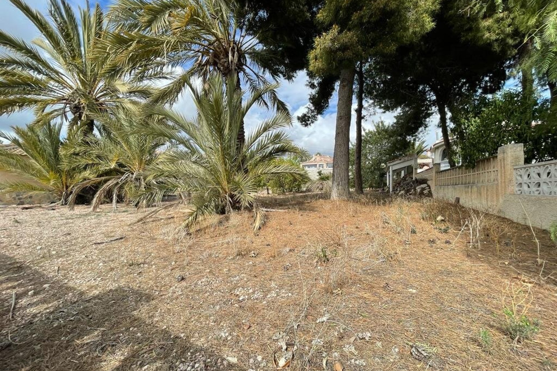 Resale - Plot - Rojales - 